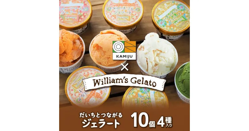 【ふるさと納税】ジェラート アイス 詰め合わせ 120 ml × 10個 マドンナキャロット vegan ミルク ヘルシー 濃厚 ウイリアムズジェラート 神重農産 コラボ 豆乳 抹茶 ピーナッツミルク ギフト からだに優しい お取り寄せ 愛知県 碧南市 送料無料