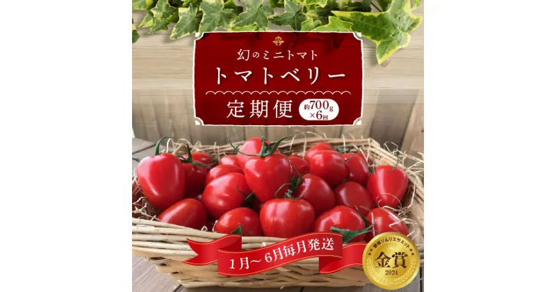 【ふるさと納税】1月 ～ 6月 毎月発送 幻のミニトマト トマトベリー 定期便 約 700g × 6回 野菜ソムリエサミット 金賞 受賞 野菜 トマト ミニトマト フルーツミニトマト 肉厚 甘い 食べやすい 愛知県 碧南市 長田農園 お取り寄せ お取り寄せグルメ 送料無料