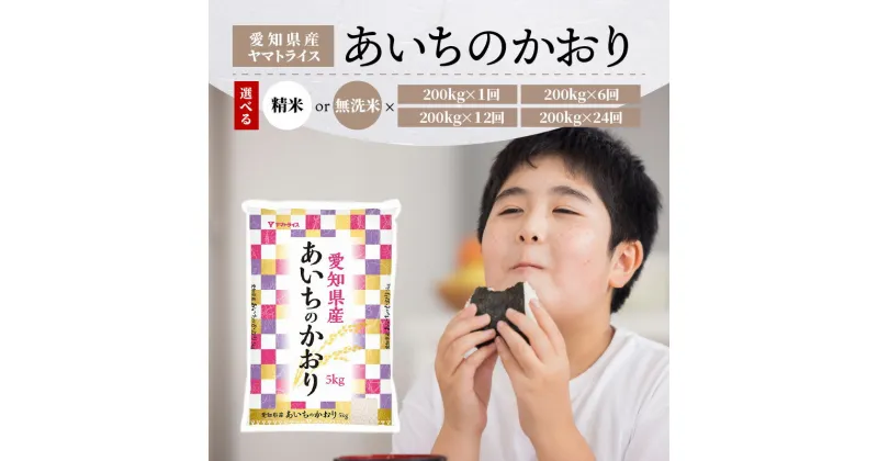 【ふるさと納税】米 愛知県産 あいちのかおり 200kg 精米 無洗米 選べる 令和6年産米 白米 国産 安心 安全 ヤマトライス ツヤ 大粒 おにぎり お弁当 お米 芳醇な香り 適度な甘み 食品 食べ物 お取り寄せ 愛知県 碧南市 送料無料