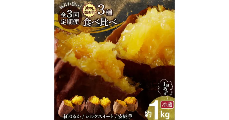 【ふるさと納税】定期便 全3回 毎月お届け 冷やし焼き芋 3種 食べ比べ セット 約 1kg × 3回 芋スイーツ 冷蔵 焼き芋 ひえひえ君 ねっとりと甘い 芋 さつまいも 紅はるか シルクスイート 種子島産 安納芋 安納紅 安納黄金 甘みが凝縮 真空パック お取り寄せ 送料無料