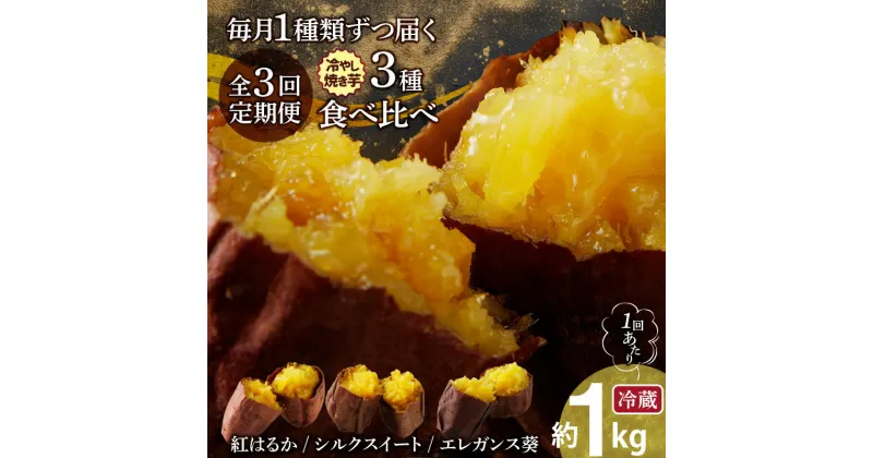 【ふるさと納税】定期便 全3回 毎月1種類ずつ届く 冷やし焼き芋 約 1kg × 3回 計 3種 ひえひえ君 冷蔵 焼き芋 ねっとりと甘み シルクスイート 紅はるか しっとり きめ細かい食感 ブランド芋 エレガンス葵 芋 さつまいも 真空パック 芋スイーツ デザート お取り寄せ 送料無料