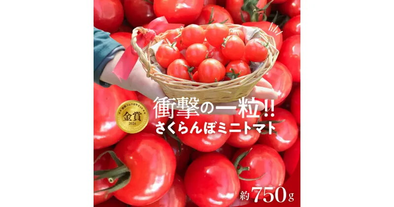 【ふるさと納税】【期間限定】 衝撃の一粒 奇跡のさくらんぼ ミニトマト 250g × 3 パック 約 750g 野菜 ソムリエサミット 金賞 受賞 希少 トマト 旬 ぷちぷよ 薄皮 甘い デリケート ツヤツヤ もっちり 食べ物 野菜 冷蔵 長田農園 お取り寄せ 愛知県 碧南市 送料無料