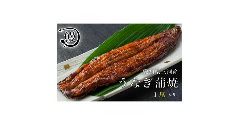 【ふるさと納税】No.140 うなぎの蒲焼1尾 ／ 鰻 ウナギ かば焼き 花心亭 送料無料 愛知県