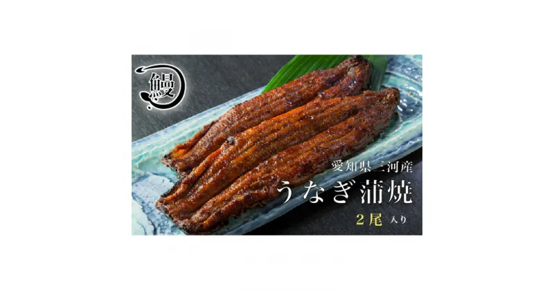 【ふるさと納税】No.142 うなぎの蒲焼2尾 ／ 鰻 ウナギ かば焼き 花心亭 送料無料 愛知県