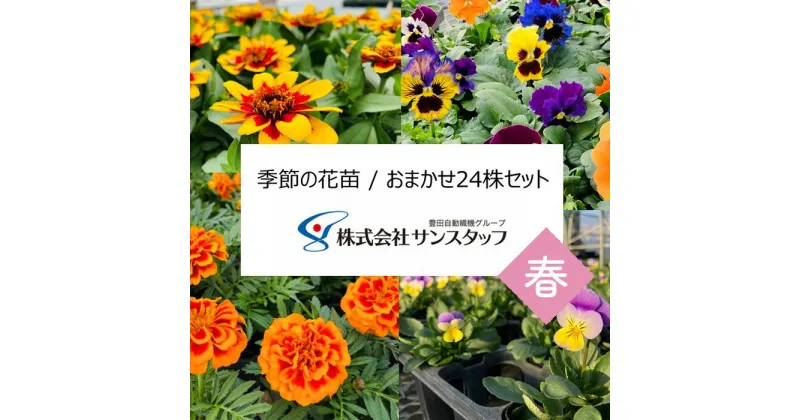 【ふるさと納税】No.409 【ファーム直送】季節の花苗 おまかせ24株セット（春） ／ 彩り 癒し フラワー 丁寧 送料無料 愛知県