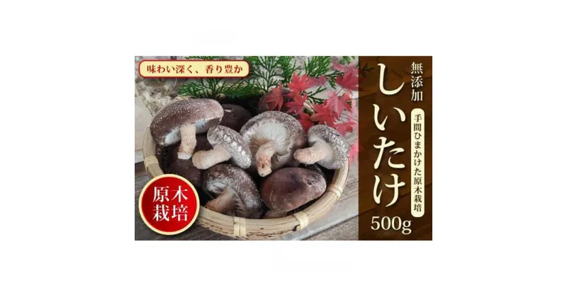 【ふるさと納税】原木栽培！しいたけ500g【肉厚・香り豊か】