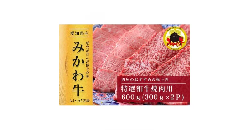 【ふるさと納税】【みかわ牛】特選和牛焼肉用600g