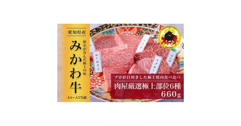 【ふるさと納税】【みかわ牛】肉屋厳選極上部位6種　660g | 肉 お肉 にく 食品 愛知県産 人気 おすすめ 送料無料 ギフト