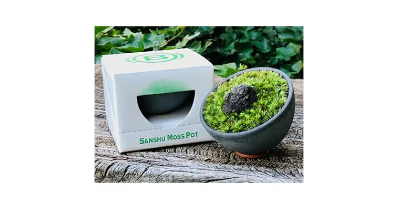 【ふるさと納税】三州モスポット(sanshu moss pot) 【1093948】