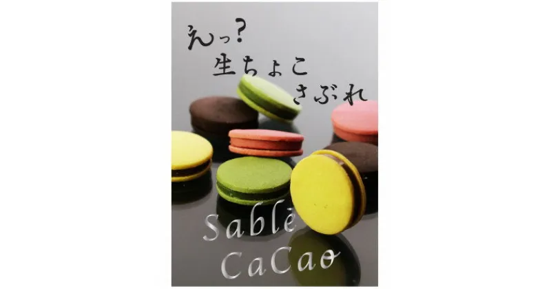 【ふるさと納税】デ・レーヴのサブレ・カカオ　8個入【配送不可地域：離島】【1283388】