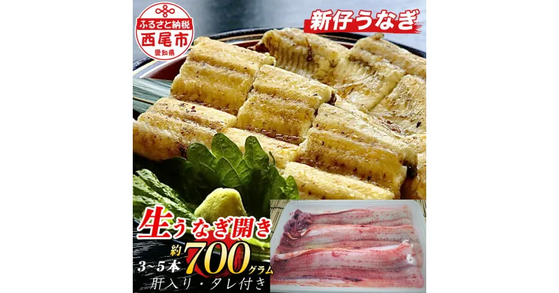 【ふるさと納税】活きを開いてすぐ発送♪生うなぎ開き3～5本(約700g)ご家庭で蒲焼、白焼きに！ K188-25 肝入り、タレ付き≪商品発送期間：2024年7月1日～11月15日≫【冷蔵便】 国産うなぎ 三河産 日本産 愛知県産 期間限定 新仔うなぎ 鰻 海鮮 バーベキュー たれセット MB