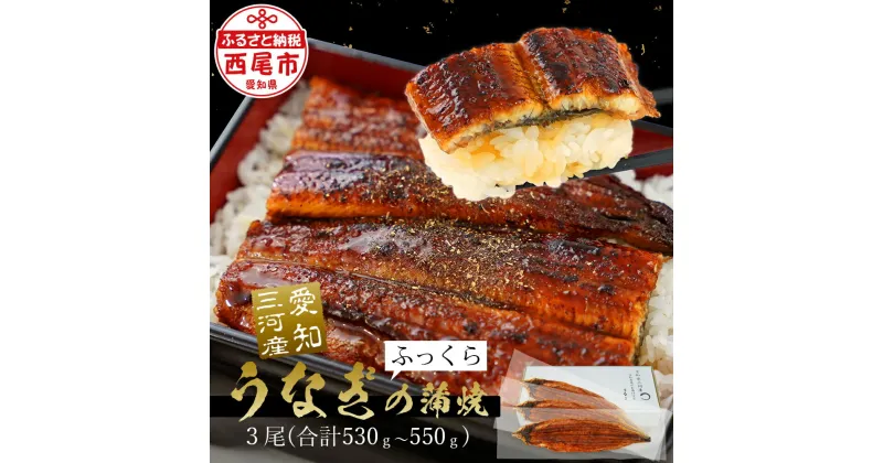 【ふるさと納税】 うなぎ 西尾 三河産 特大 蒲焼 3尾（530g〜550g）A087-24【冷凍便】国産 西尾産 日本産 愛知県産 西尾市産 鰻 蒲焼き タレ付き たれセット さんしょう 土用の丑の日 丑の日 海鮮 食品 魚介類 特大サイズ MB