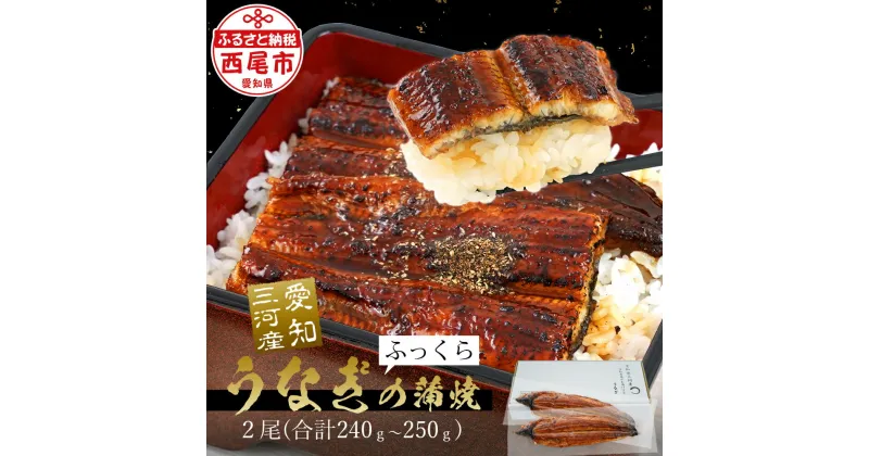 【ふるさと納税】 うなぎ 国産 西尾 三河産 三河産うなぎ 蒲焼2尾 (合計240g～250g) A092-14【冷凍便】うなぎ 国産 三河産 日本産 愛知県産 西尾市 鰻 タレ付き たれセット さんしょう 土用の丑の日 丑の日 食品 海鮮 魚介類 MB