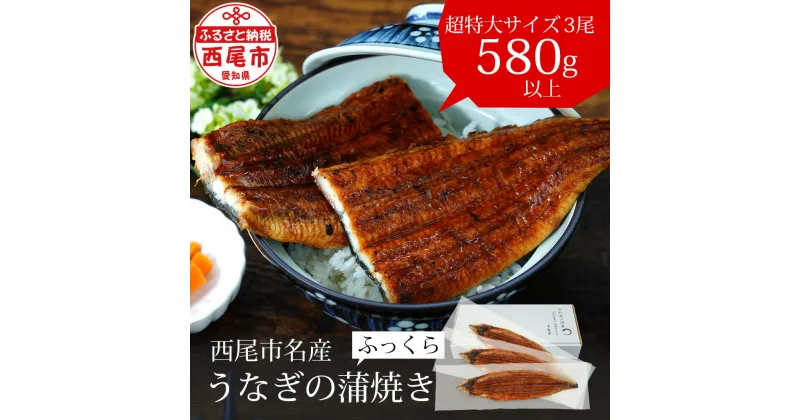 【ふるさと納税】 うなぎ 西尾 三河産 蒲焼 超特大 3尾（合計580g～600g）A091-25【冷凍便】うなぎ 国産 三河産 愛知県産 西尾市 鰻 蒲焼き ウナギ 鰻の蒲焼き タレ付き たれセット 山椒 土用の丑の日 丑の日 土用 惣菜 食品 うな丼 MB