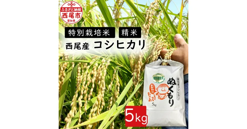 【ふるさと納税】令和6年産 特別栽培米西尾産コシヒカリぬくもり 5kg×1袋 D024-14 / 特別栽培米 節減対象農薬5割減 化学肥料不使用 精米 5キロ 国産米 国内産 日本産 愛知県産 MB