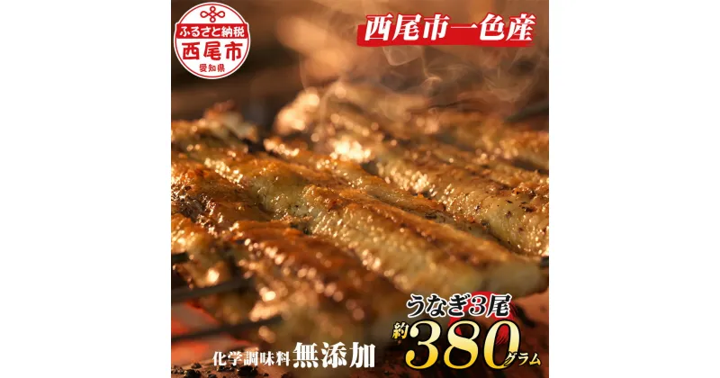 【ふるさと納税】 うなぎ 西尾 手焼き 三河一色産うなぎ蒲焼3尾（約380g）A130-22 【冷蔵便】 国産 三河産 無頭 三河一色産 愛知県産 鰻 鰻の蒲焼き 蒲焼き タレ付き たれセット さんしょう 三河味醂使用のたれ 丑の日 土用の丑の日 土用 MB