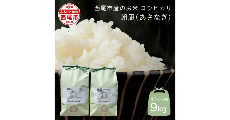 【ふるさと納税】令和6年度産 西尾市一色町のお米≪朝凪(コシヒカリ)≫　9kg・M074-19 / 精米 9キロ 4.5kg×2袋 こしひかり 国産米 国内産 日本産 愛知県産 MB