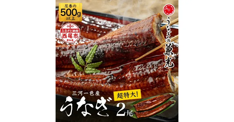 【ふるさと納税】三河一色産 うなぎ蒲焼【超特大サイズ2尾（計500g以上）】U039【冷凍便】うなぎの兼光 蒲焼き 総菜 国産うなぎ ウナギ 鰻 愛知県産 西尾市産 西尾一色産 タレ付き たれセット 蒲焼き かば焼き 丑の日 土用丑の日 MB