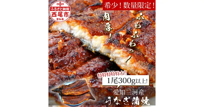 【ふるさと納税】 うなぎ 西尾 希少なビッグサイズ！ 三河産 うなぎ 蒲焼き 1尾（300グラム以上!）冷凍 A135-14 規格外 国産 愛知三河産 愛知県産 鰻 ウナギ 鰻の蒲焼 メガサイズ 大きい タレ付き【冷凍便】 丑の日 土用の丑の日 MB