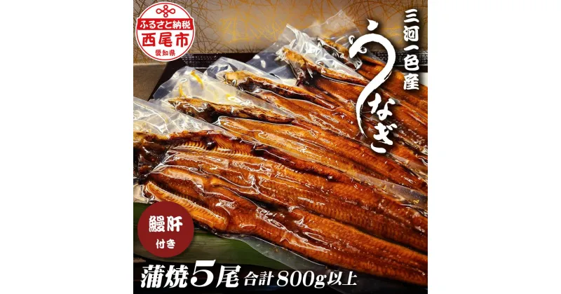 【ふるさと納税】三河一色うなぎ【蒲焼5尾（合計800g以上）】鰻肝付き F012【冷凍便】 蒲焼き 惣菜 国産うなぎ ウナギ 鰻 愛知県産 西尾市産 西尾一色産 タレ付き たれセット かば焼き MB