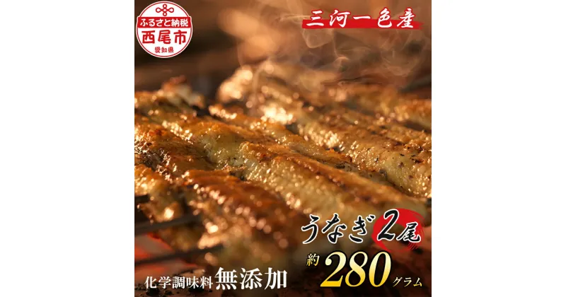 【ふるさと納税】手焼き 三河一色産 1年うなぎ 蒲焼2尾（約280g）A140-17 【発送期間：2025年1月下旬まで】/ 添加物不使用 国産 三河産 無頭 愛知県産 鰻 タレ付き たれセット さんしょう 三河味醂使用のたれ 【冷蔵便】MB