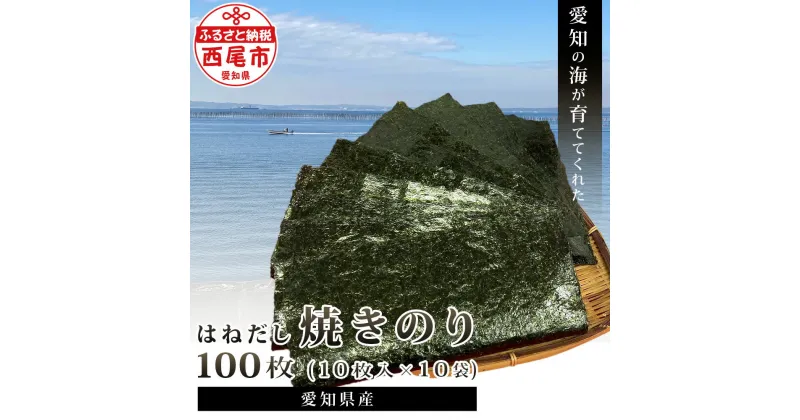 【ふるさと納税】愛知の海が育ててくれた　はねだし焼きのり　100枚　M067-13　/国産 愛知県産 海苔 乾物 海の幸 のり 焼き海苔 焼きのり MB