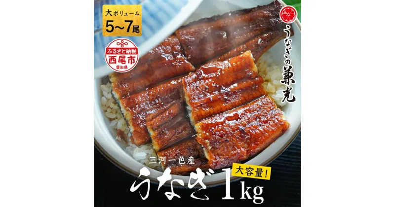 【ふるさと納税】 三河一色産 うなぎ蒲焼【大ボリューム 1kg（5〜7尾）】U040【冷凍便】うなぎの兼光 蒲焼き 総菜 国産うなぎ ウナギ 鰻 愛知県産 西尾市産 西尾一色産 タレ付き たれセット 蒲焼き かば焼き MB