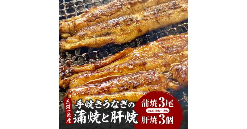 【ふるさと納税】三河一色産手焼きうなぎの蒲焼と肝焼【蒲焼パック冷凍×3尾、肝焼×3個】・M099 三河一色産 うなぎ 鰻の蒲焼き 蒲焼 鰻の肝焼き 肝焼き 山椒付き 大きめ 特産品 ブランド お惣菜 レトルト グルメ イベント 愛知県 西尾市 送料無料