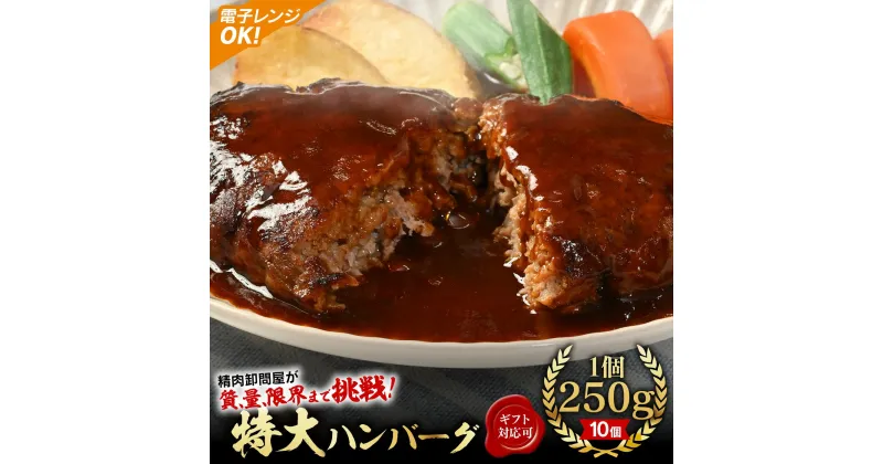 【ふるさと納税】【250g×10個】精肉卸問屋が自信をもってお届けする特大ハンバーグ（デミグラスソース）・T098 ハンバーグ デミグラスハンバーグ デミハン 洋風ハンバーグ 惣菜 お惣菜 おかず お弁当 レンジ 湯煎 簡単調理 おすすめ グルメ 肉 愛知県 西尾市 送料無料