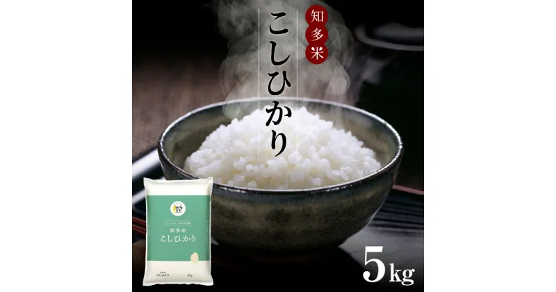 【ふるさと納税】知多米 こしひかり 1袋【 5kg 】 白米 秋 旬 農協 ブランド米 米 ライス 国産 コシヒカリ お米 ご飯 美味しいお米 うるち精米 常滑市 送料無料