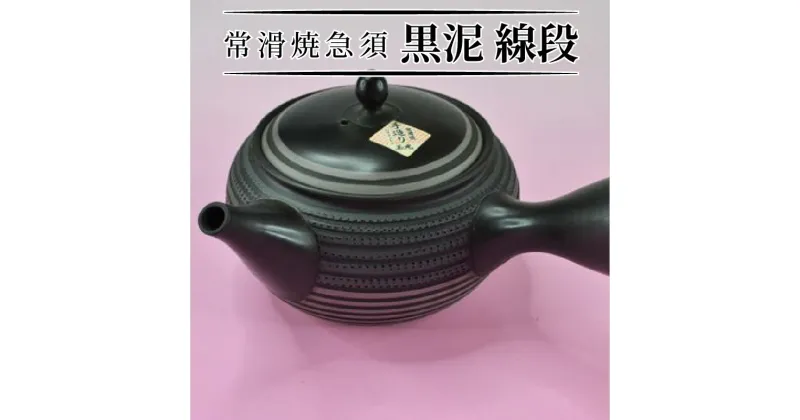 【ふるさと納税】常滑焼急須 黒泥 線段 陶器 やきもの 手作り 伝統工芸品 工芸品 常滑市 愛知県 茶器 茶道具 日本六古窯 送料無料