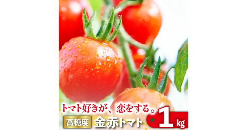 【ふるさと納税】【 先行予約 】【11月から順次発送】トマト好きが、恋をする。 1kg 金赤トマトミニ 野菜 新鮮野菜 ミニトマト 味が濃い 高糖度 甘い 送料無料