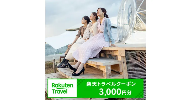 【ふるさと納税】愛知県常滑市の対象施設で使える楽天トラベルクーポン 3,000円分【寄付額10,000円】