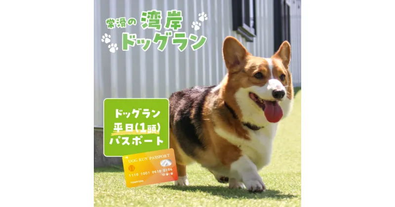 【ふるさと納税】【海を一望できるドッグラン 利用チケット】ドッグラン平日パスポート 1頭 犬 ペット 天然芝 おでかけ 知多半島 観光 体験チケット カフェ ペット同伴 犬連れ ドッグラン 広い 年間パスポート 屋内 屋外