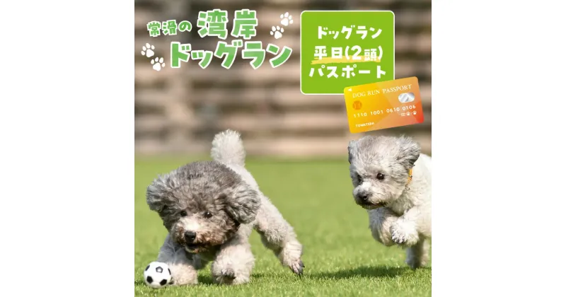 【ふるさと納税】【海を一望できるドッグラン 利用チケット】ドッグラン平日パスポート 2頭 犬 ペット 天然芝 おでかけ 知多半島 観光 体験チケット カフェ ペット同伴 犬連れ ドッグラン 広い 年間パスポート 屋内 屋外