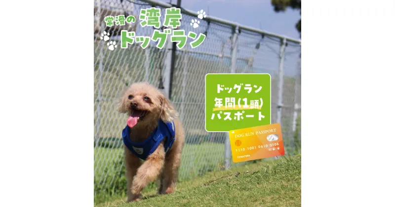 【ふるさと納税】【海を一望できるドッグラン 利用チケット】ドッグラン年パスポート 1頭 犬 ペット 天然芝 おでかけ 知多半島 観光 体験チケット カフェ ペット同伴 犬連れ ドッグラン 広い 年間パスポート 屋内 屋外