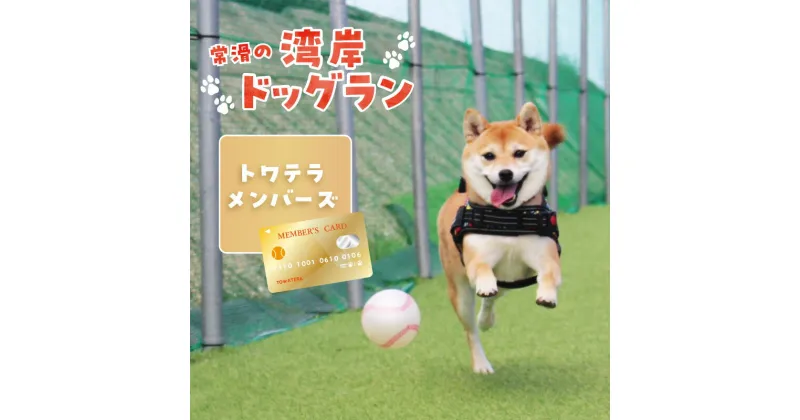 【ふるさと納税】【海を一望できるドッグラン 利用チケット】トワテラメンバーズ 犬 ペット 天然芝 おでかけ 知多半島 観光 体験チケット プール トリミング ペットホテル 犬用ホテル カフェ ペット同伴 犬連れ