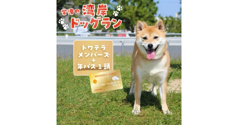 【ふるさと納税】【海を一望できるドッグラン 利用チケット】トワテラメンバーズ＋年パス 1頭 犬 ペット 天然芝 おでかけ 知多半島 観光 体験チケット プール トリミング ペットホテル 犬用ホテル カフェ ペット同伴 犬連れ