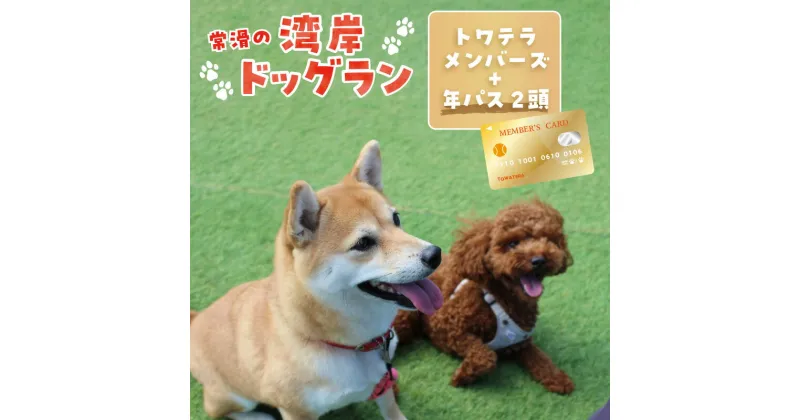 【ふるさと納税】【海を一望できるドッグラン 利用チケット】トワテラメンバーズ＋年パス 2頭 犬 ペット 天然芝 おでかけ 知多半島 観光 体験チケット プール トリミング ペットホテル 犬用ホテル カフェ ペット同伴 犬連れ