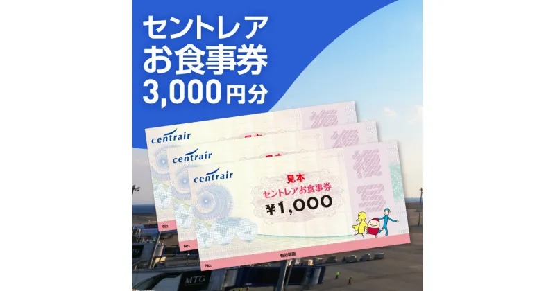 【ふるさと納税】セントレアお食事券 【3,000円分】 中部国際空港 セントレア ランチ 空港 名古屋めし フードコート 飛行機を見ながら ボーイング787 愛知県