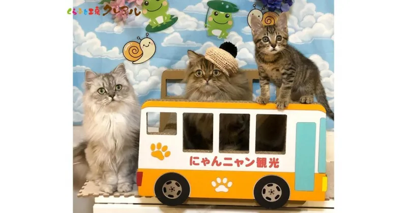 【ふるさと納税】猫の爪とぎ 観光バス 猫 爪とぎ ダンボール 丈夫 写真映え 日本製 常滑市 国産 おもちゃ ペット バス 乗り物 運転手 なりきり インテリア かわいい 送料無料