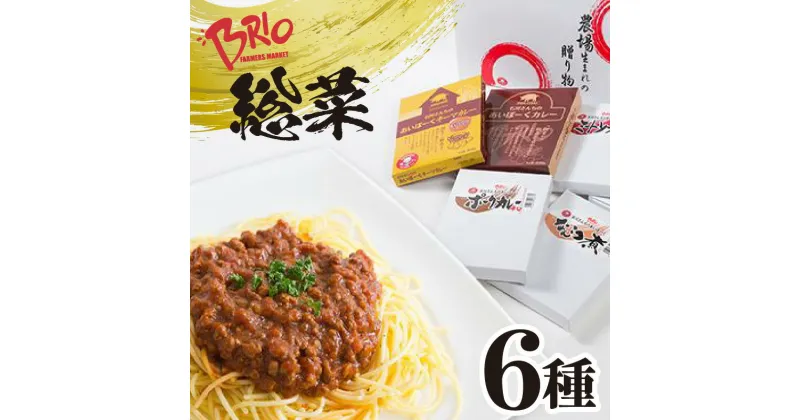 【ふるさと納税】ブリオ あいぽーく 総菜 6種 セット 計1050g キーマカレー ミートソース 豚軟骨煮 とんかつ用どて味噌 カレー ポークカレー 辛口 レトルト 石川養豚場 湯煎 簡単調理 豚カツ どて煮 ギフト美味しい ランチ ディナー 人気 詰合せ 食べ比べ 肉 送料無料肉