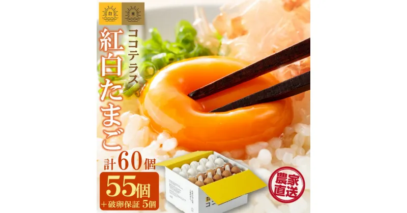 【ふるさと納税】ココテラスの 紅白たまご 55個 + 5個保証【計60個】 農家直送 新鮮 卵 純植物性飼料 飼料にこだわった 卵かけご飯 米たまご 白卵 赤卵 大容量 送料無料