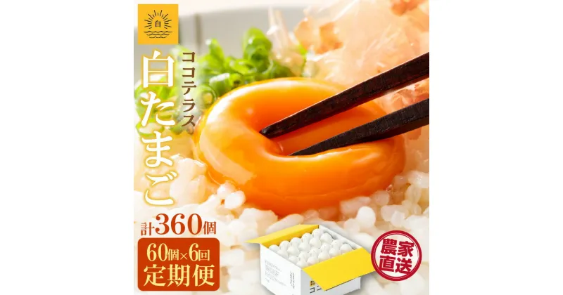 【ふるさと納税】【6ヵ月定期便】ココテラスの朝日（ 白たまご ）55個 + 5個保証【計60個】 農家直送 新鮮 卵 純植物性飼料 飼料にこだわった 卵かけご飯 米たまご 大容量 卵 定期 送料無料