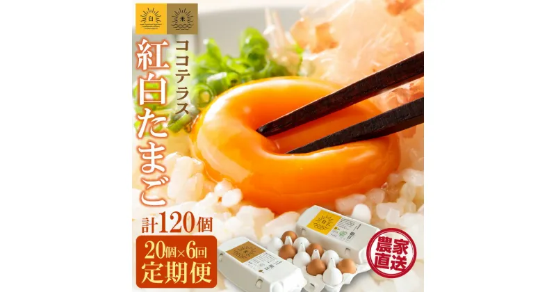 【ふるさと納税】【6ヵ月定期便】ココテラスの紅白たまご 15個 + 5個保証【計20個】 農家直送 新鮮 卵 純植物性飼料 飼料にこだわった 卵かけご飯 米たまご 大容量 卵 定期 送料無料