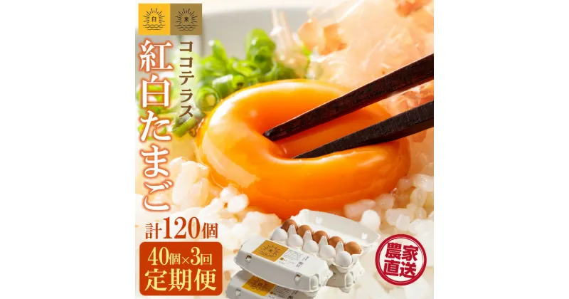 【ふるさと納税】【3ヵ月定期便】ココテラスの紅白たまご 35個 + 5個保証【計40個】 農家直送 新鮮 卵 純植物性飼料 飼料にこだわった 卵かけご飯 米たまご 大容量 卵 定期 送料無料