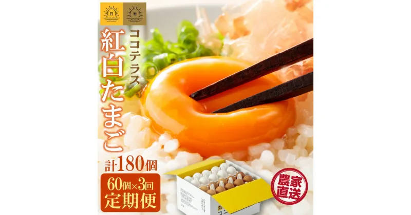 【ふるさと納税】【3ヵ月定期便】ココテラスの紅白たまご 55個 + 5個保証【計60個】 農家直送 新鮮 卵 純植物性飼料 飼料にこだわった 卵かけご飯 米たまご 大容量 卵 定期 送料無料