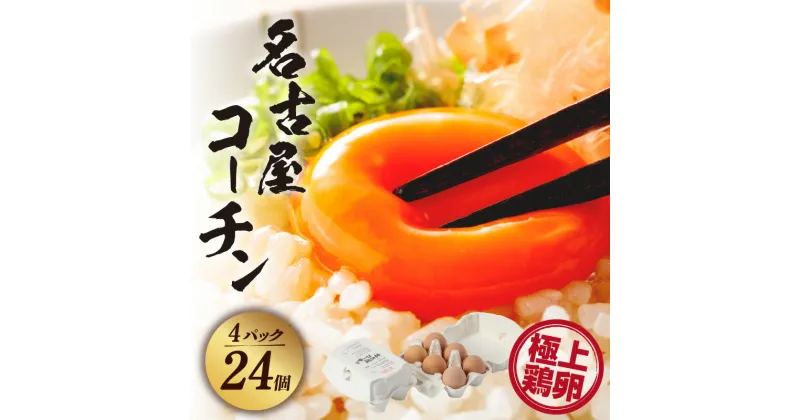 【ふるさと納税】【 高級 】名古屋コーチン 4パック【計24個】 6個入 飼料にこだわった 採れたて卵 新鮮 希少 たまご 安心 安全 農家直送 たまごかけご飯 生卵 美味しい卵 愛知県 常滑市 送料無料