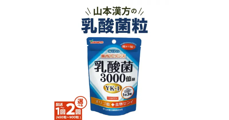 【ふるさと納税】1粒に1,000億個の乳酸菌 山本漢方 乳酸菌 粒 30日分 90粒 5袋 セット 約150日分 選べる 単品 定期便 YAMAKAN 錠剤 飲みやすい 手軽 オリジナル YK‐1 オリゴ糖 食物繊維 腸内環境の改善 健康 健康維持 自社一貫製造 タブレット 愛知県 小牧市 送料無料