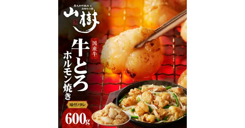 【ふるさと納税】ホルモン 肉 牛肉 山樹 国産牛 とろホルモン焼き 300g×2パック 計600g 味付 タレ プリプリ 小腸 味噌タレ にんにく バーベキュー BBQ 炒め物 ホルモン丼 野菜炒め 焼きうどん 下処理済み 愛知県 小牧市 冷凍 送料無料